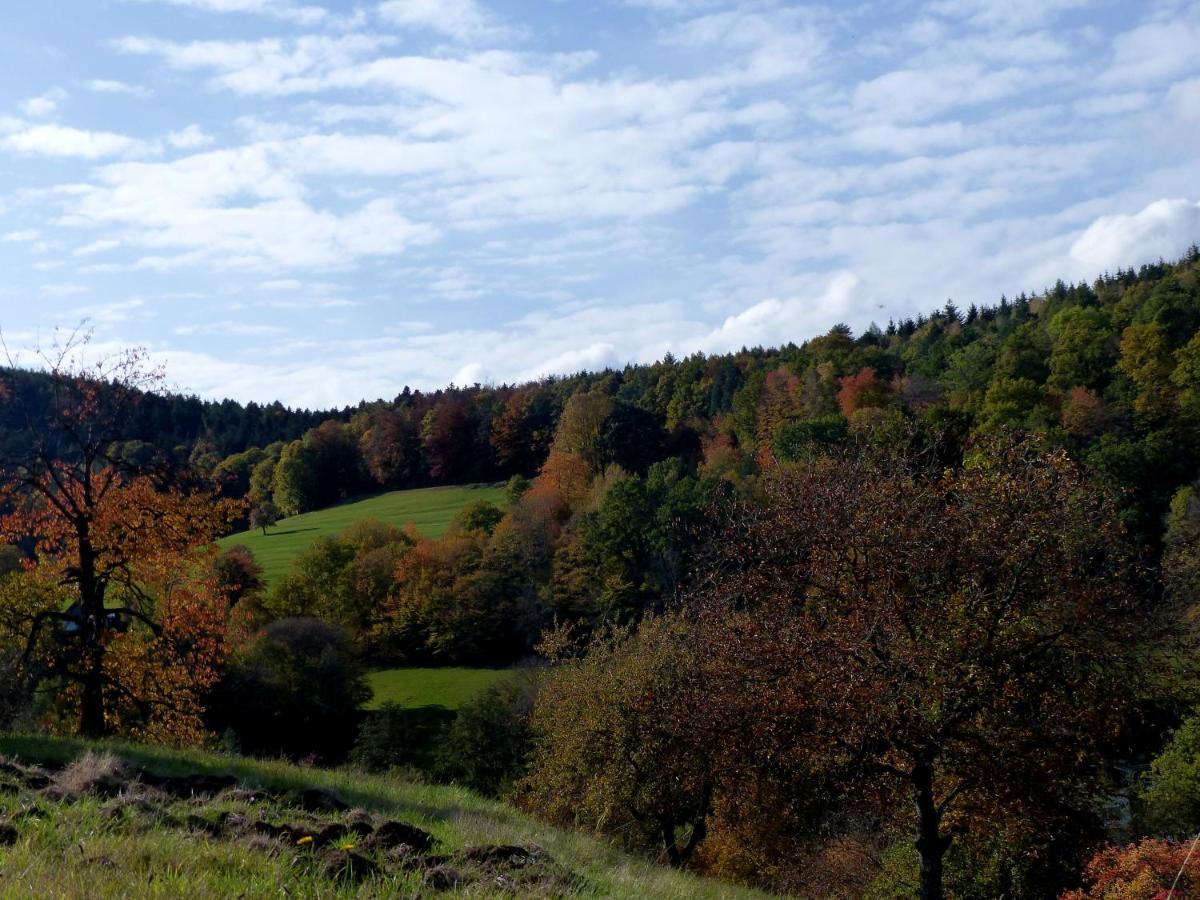 Au Chalet De Jo Muhlbach-sur-Munster المظهر الخارجي الصورة