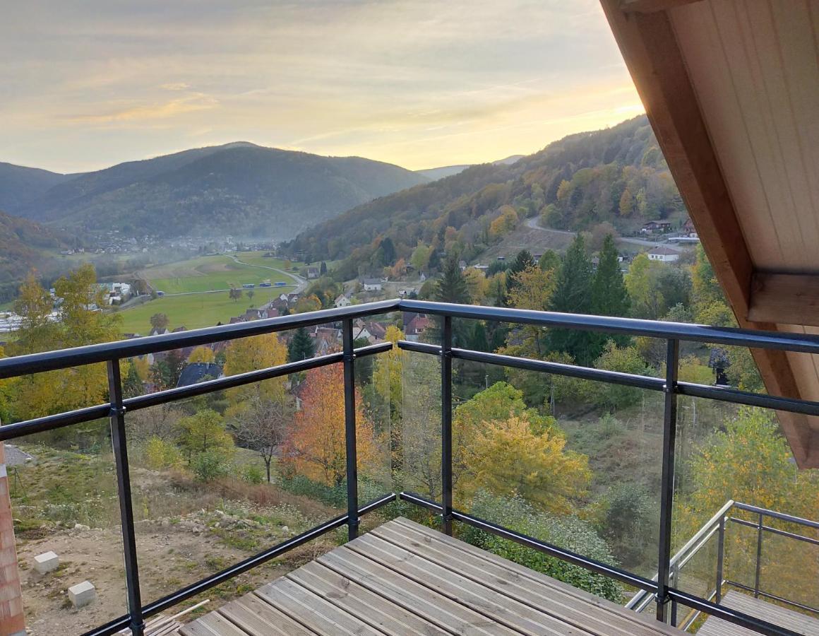 Au Chalet De Jo Muhlbach-sur-Munster المظهر الخارجي الصورة