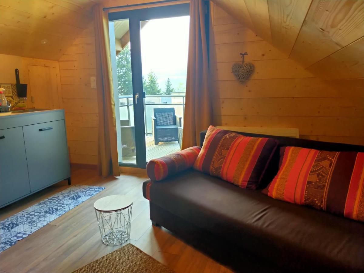 Au Chalet De Jo Muhlbach-sur-Munster المظهر الخارجي الصورة