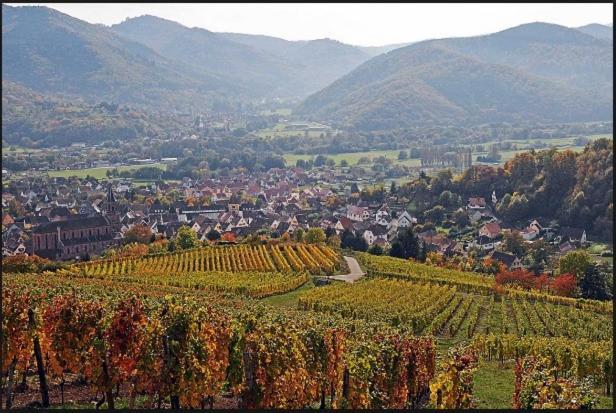 Au Chalet De Jo Muhlbach-sur-Munster المظهر الخارجي الصورة