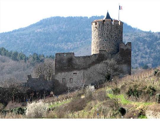Au Chalet De Jo Muhlbach-sur-Munster المظهر الخارجي الصورة