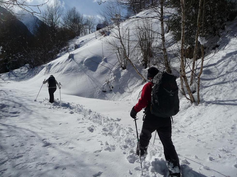 Au Chalet De Jo Muhlbach-sur-Munster المظهر الخارجي الصورة