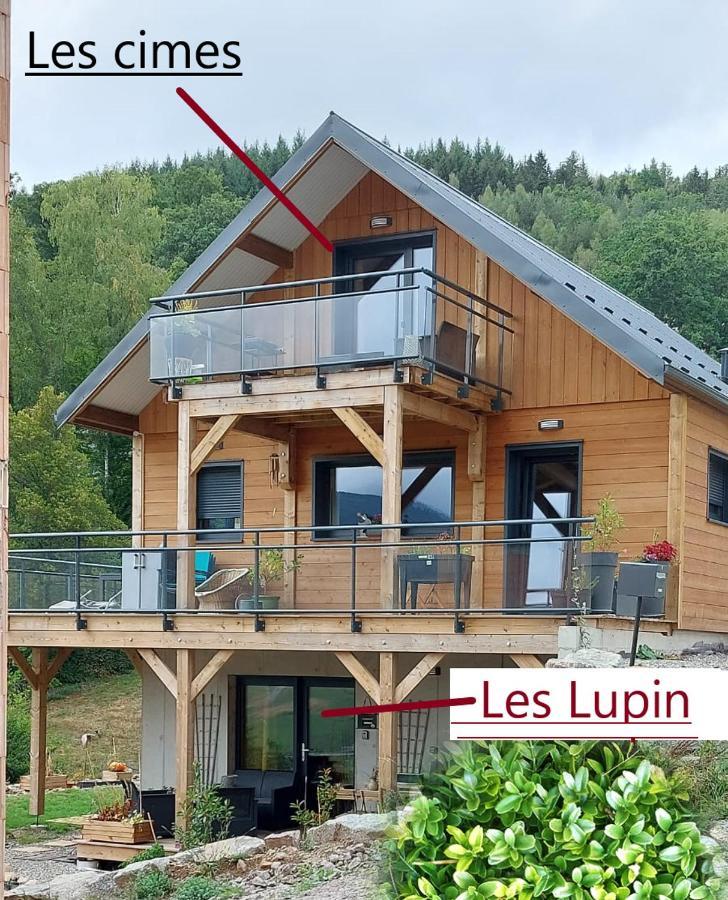 Au Chalet De Jo Muhlbach-sur-Munster المظهر الخارجي الصورة