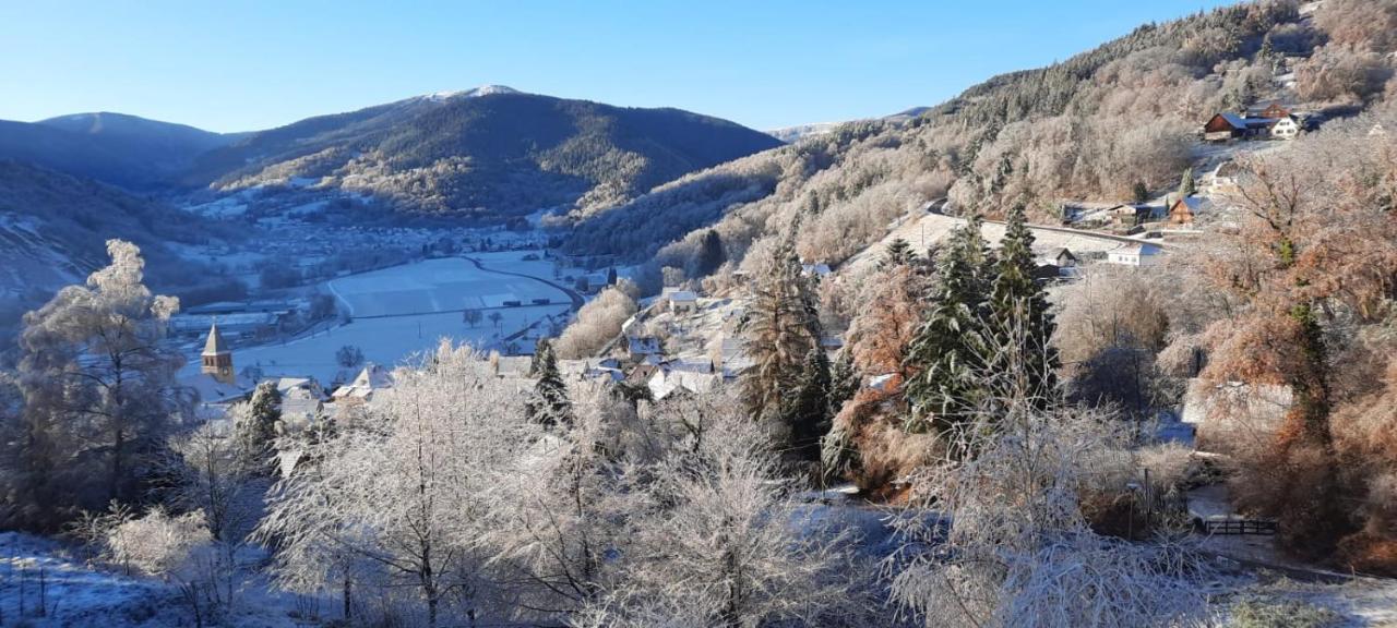 Au Chalet De Jo Muhlbach-sur-Munster المظهر الخارجي الصورة