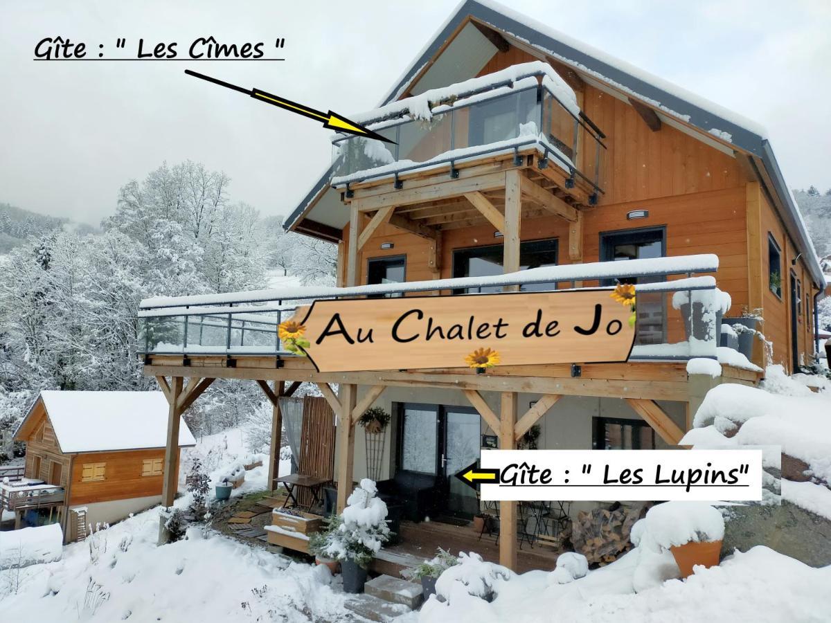 Au Chalet De Jo Muhlbach-sur-Munster المظهر الخارجي الصورة