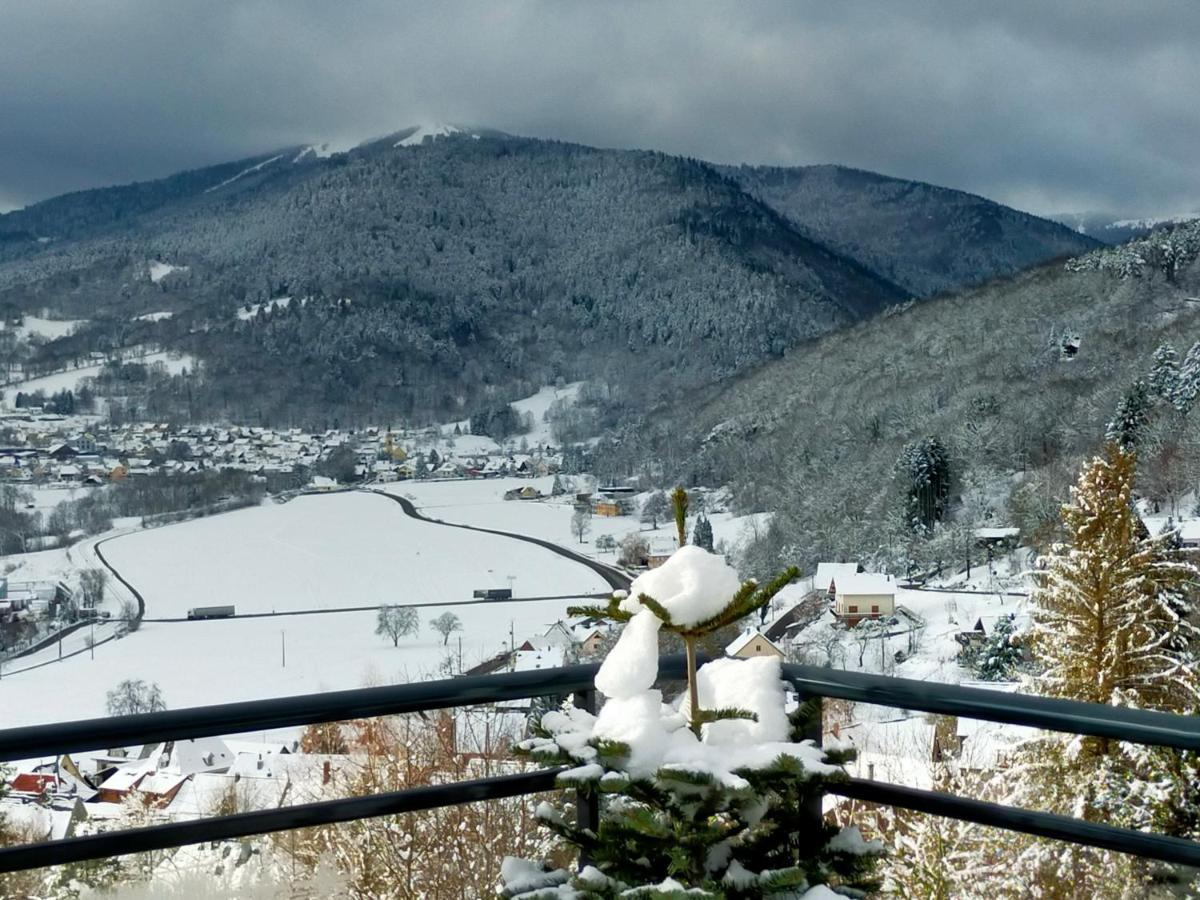 Au Chalet De Jo Muhlbach-sur-Munster المظهر الخارجي الصورة